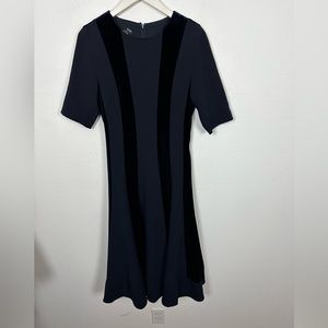 Teri Jon Navy Blue Velvet Striped Elbow Sleeve Fit & Flare Dress Size 10 EUC
